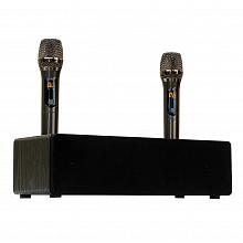 Домашний комплект караоке SkyDisco Karaoke Home Set Plus Final Bass Artifact Black: DVD-плеер, микрофоны, акустика, диск 2000 песен 2 Домашний комплект караоке SkyDisco Karaoke Home Set Plus Final Bass Artifact Black: DVD-плеер, микрофоны, акустика, диск 2000 песен 2