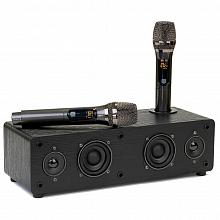 Домашний комплект караоке SkyDisco Karaoke Home Set Plus Final Bass Artifact Black: DVD-плеер, микрофоны, акустика, диск 2000 песен 3 Домашний комплект караоке SkyDisco Karaoke Home Set Plus Final Bass Artifact Black: DVD-плеер, микрофоны, акустика, диск 2000 песен 3